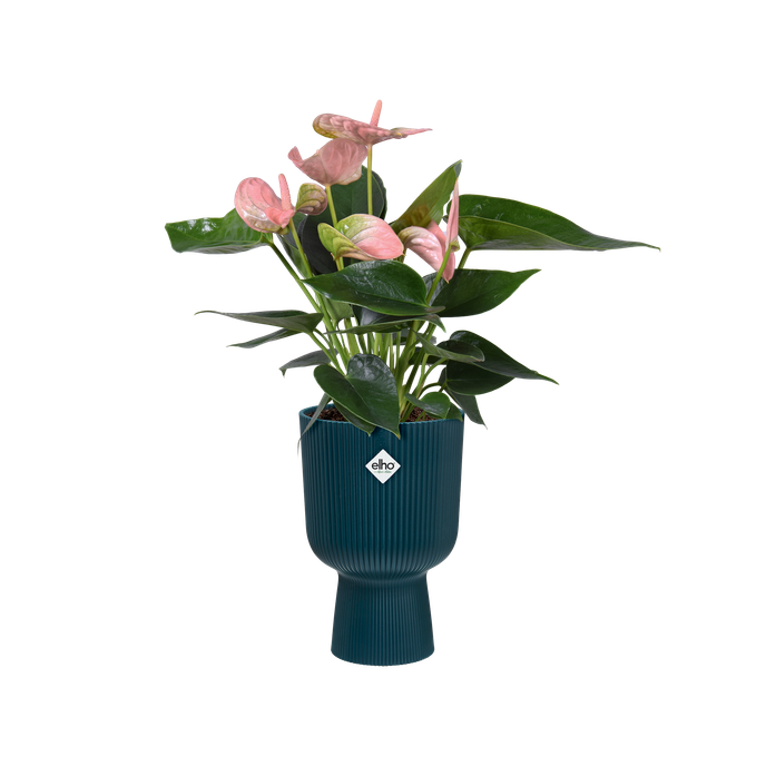 vibes fold coupe 14cm diepblauw